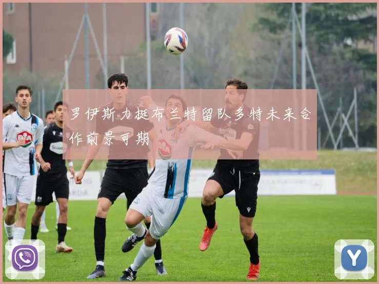 罗伊斯力挺布兰特留队多特未来合作前景可期